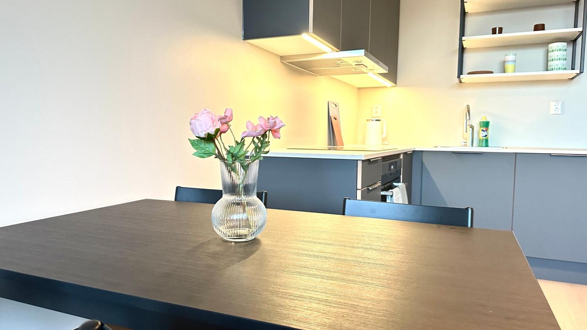 Brand New And Modern Apartment In Oslo Center Dış mekan fotoğraf